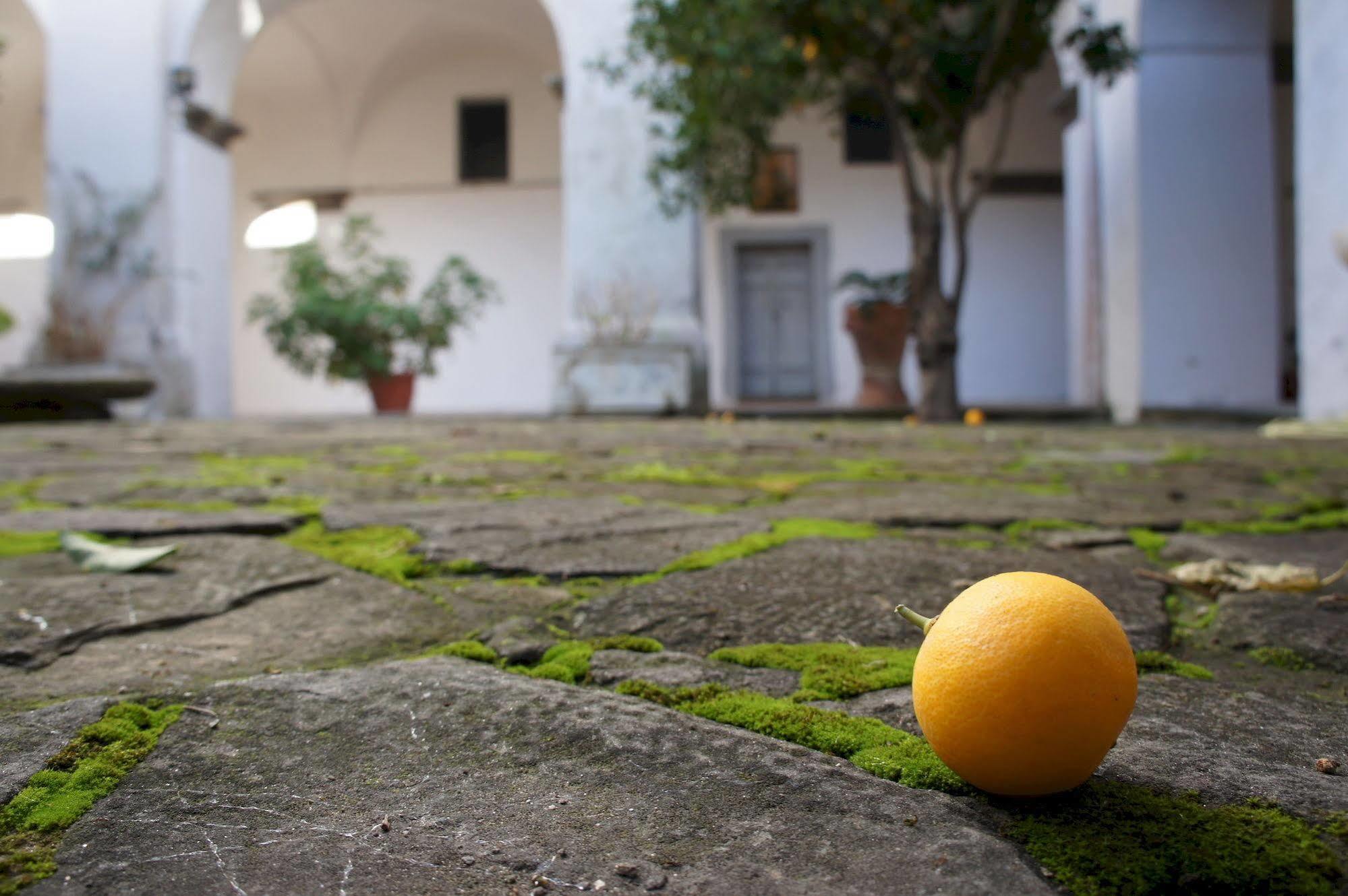 San Francesco Relais Bed & Breakfast Massa Lubrense Bagian luar foto